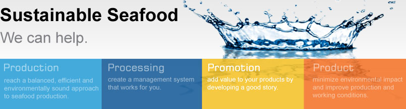 Four Links Promotion